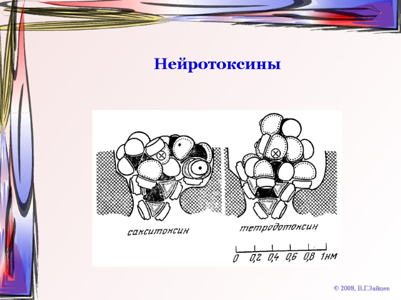 Нейротоксины © 2008, В.Г.Зайцев